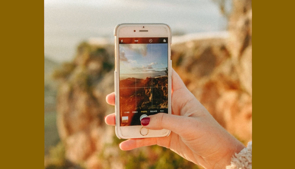 +77 Best Instagram Captions For Nature {New Captions}